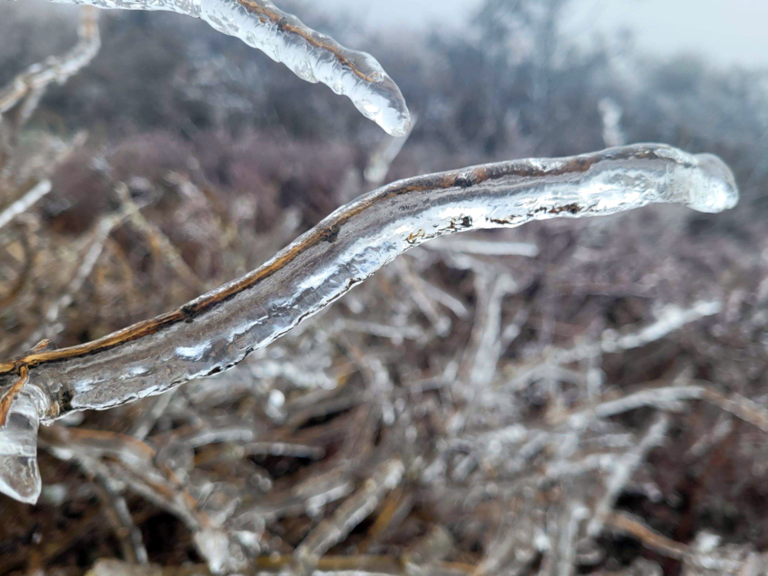 Freezing rain accumulation at High Point State Park on March 24th.