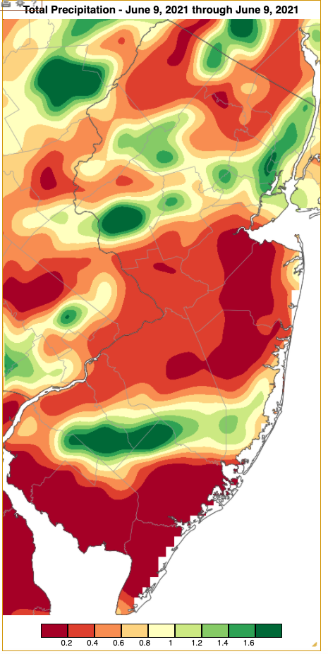 Rainfall from approximately 7 AM on June 8th to 7 AM on June 9th based on an analysis generated using NWS Cooperative and CoCoRaHS observations