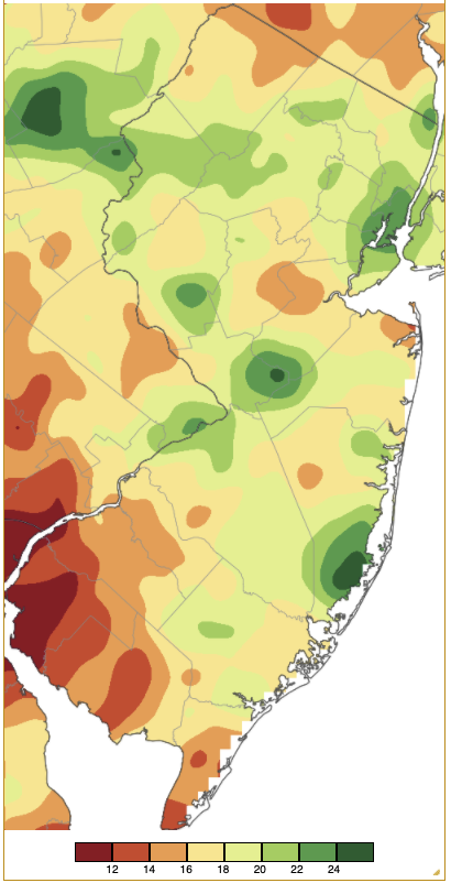 Summer 2021 precipitation across New Jersey